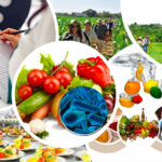 Seguridad e Inocuidad Alimentaria en Turismo y Hostelería: Manipulación de Alimentos, buenas prácticas, HACCP y Excelencia en el Servicio