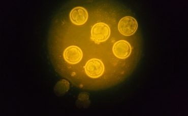 Imagen de WhatsApp 2024-10-14 a las 17.33.51_23ac6f73