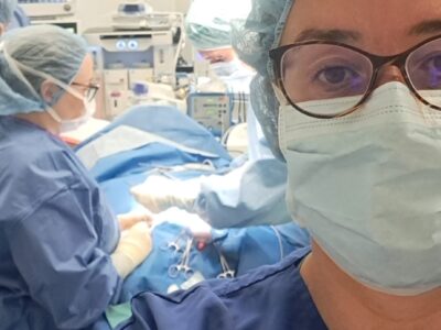 Cirugía básica en pequeños animales: de la teoría a la práctica